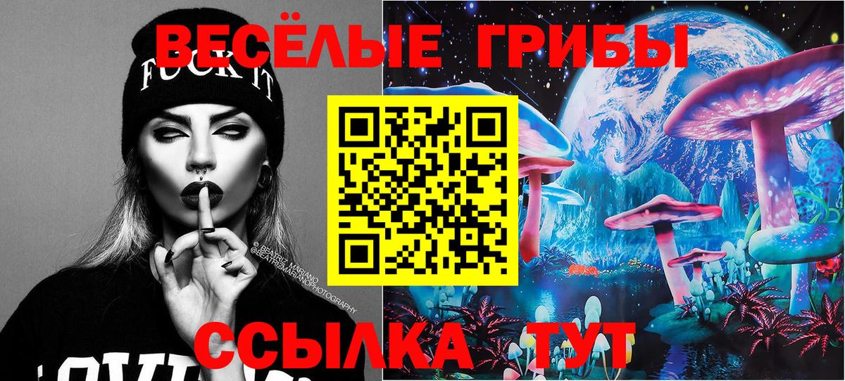 Дзержинск  Псилоцибиновые грибы Psilocybe  Псилоцибиновые грибы мицелий  где продают наркотики  Вход с VPN 