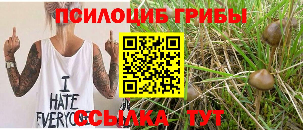 Псилоцибиновые грибы Psilocybine cubensis Дзержинск